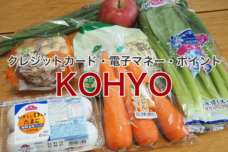 KOHYO クレジットカード 電子マネー ポイント